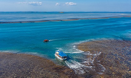 Coral Expeditions